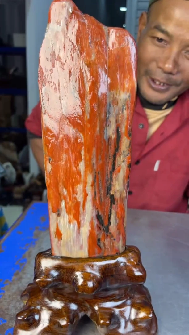 未镶嵌摆件硅化玉32