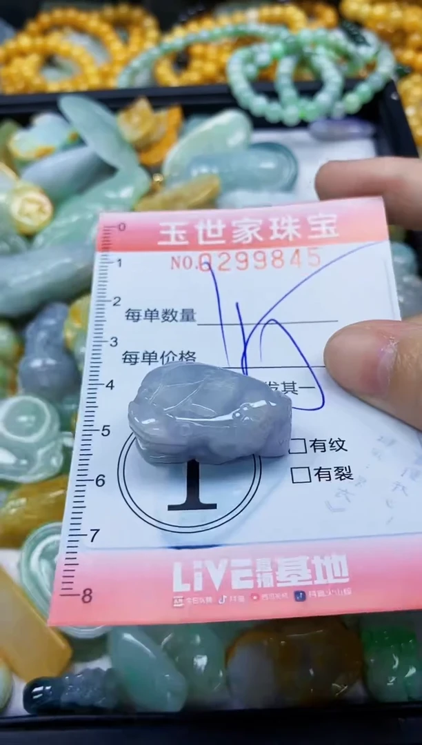 翡翠未镶嵌颈饰闪购0299845