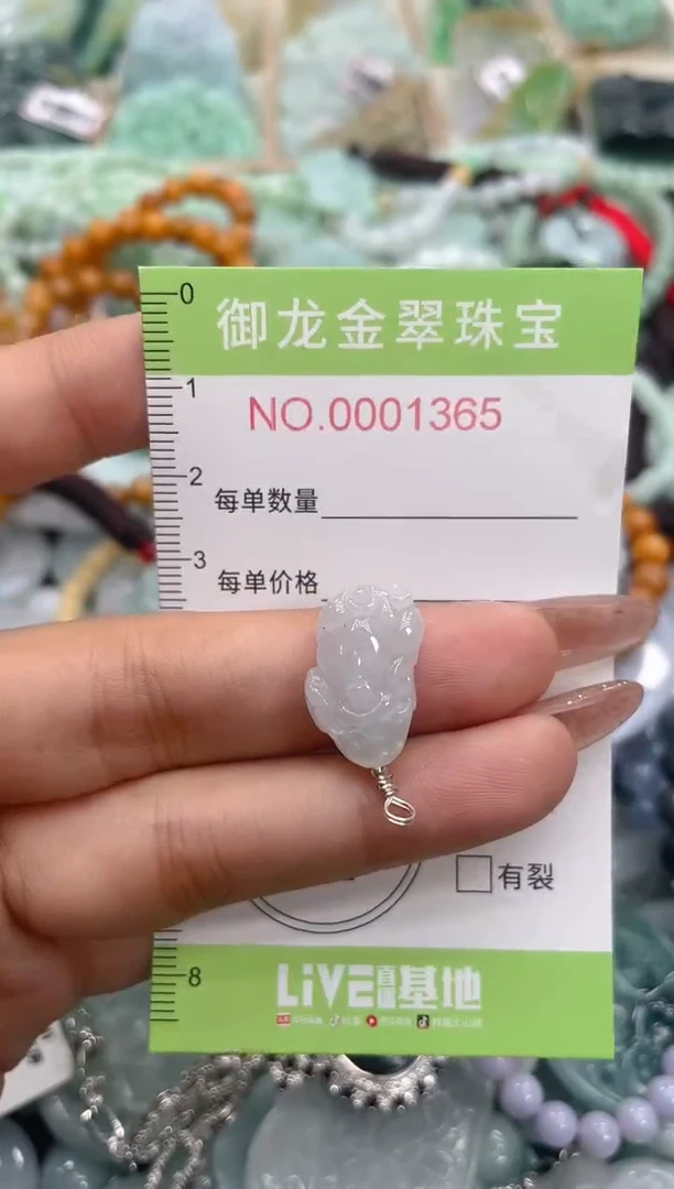 颈饰未镶嵌翡翠065