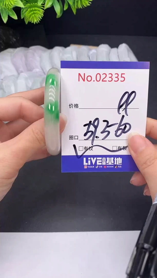 未镶嵌手镯翡翠2335