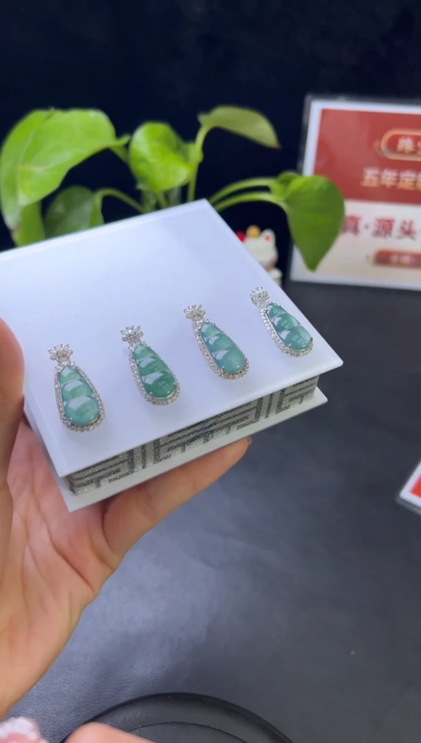 【闪购商品】翡翠颈饰银S925镶嵌008-50476多样性发一件