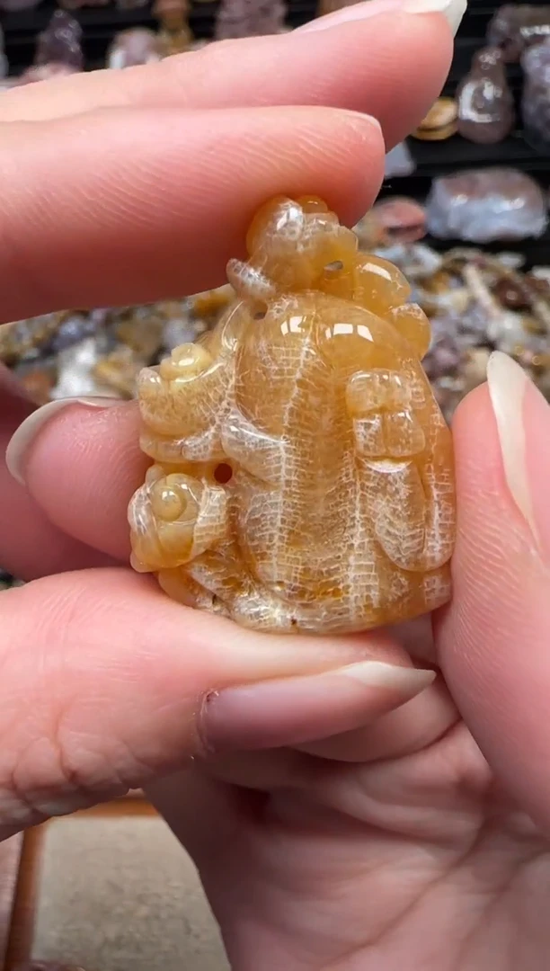 颈饰未镶嵌硅化珊瑚（珊瑚玉）621