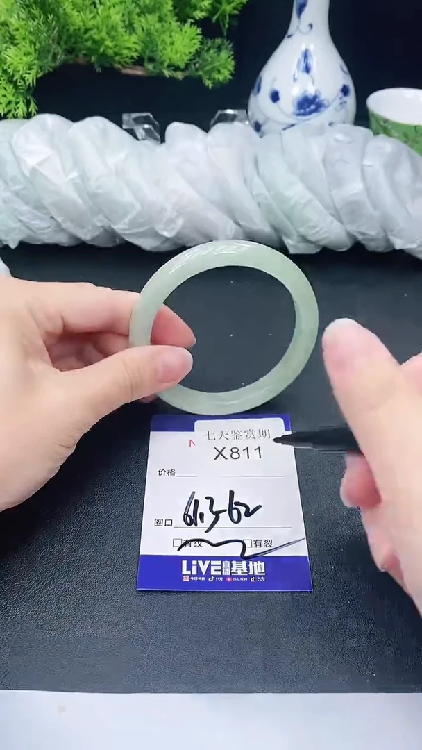 未镶嵌手镯翡翠811