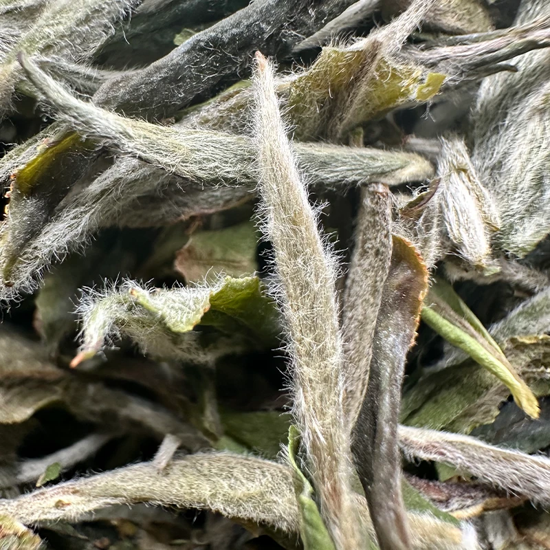 【双十一专享】康潮一品 2022年小芳特级白牡丹兰花香