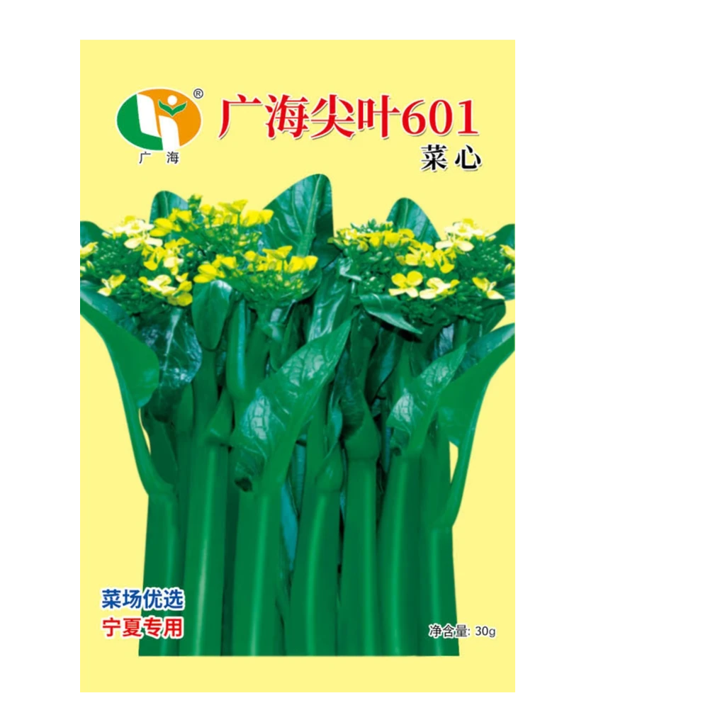 广海尖叶601菜心（净含量：20克）