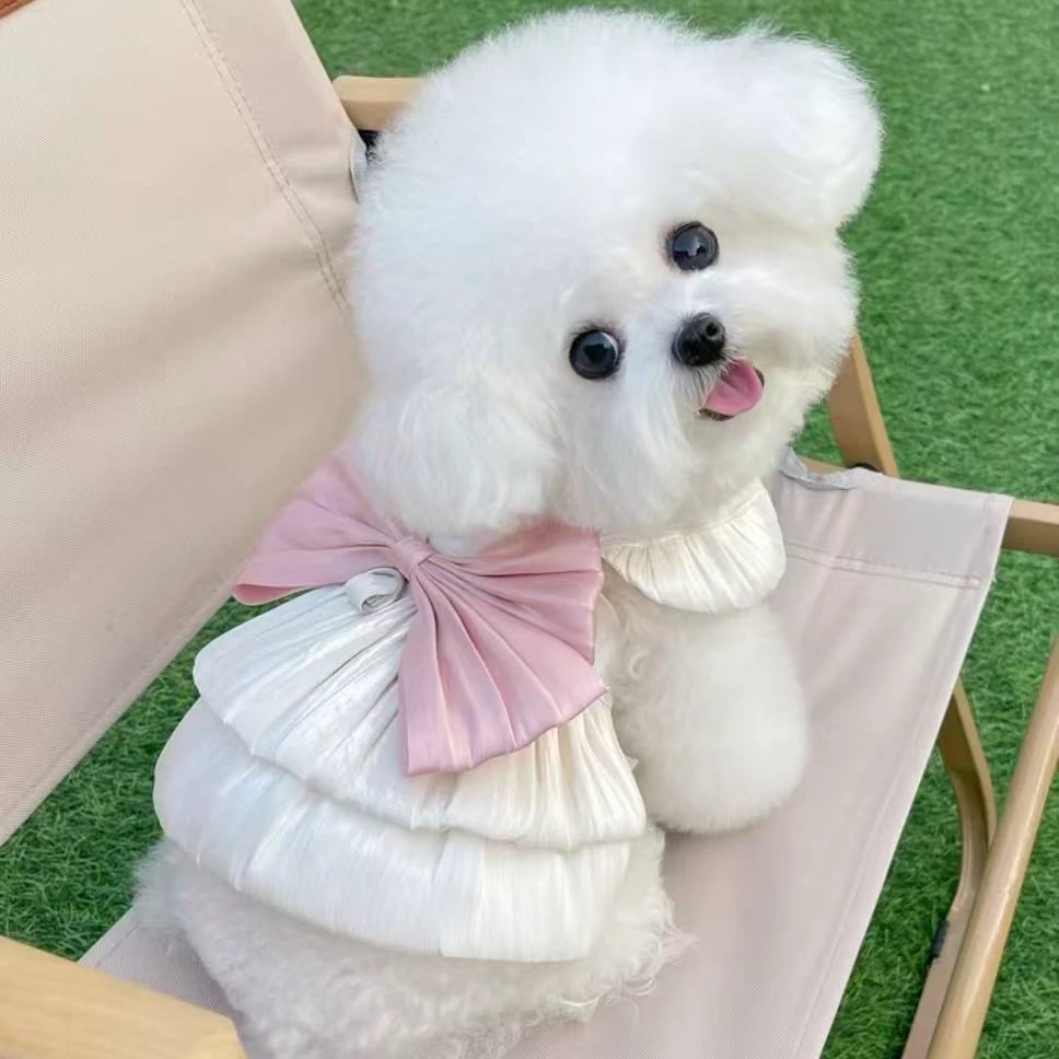 自选小型犬  泰迪比熊博美衣服nn