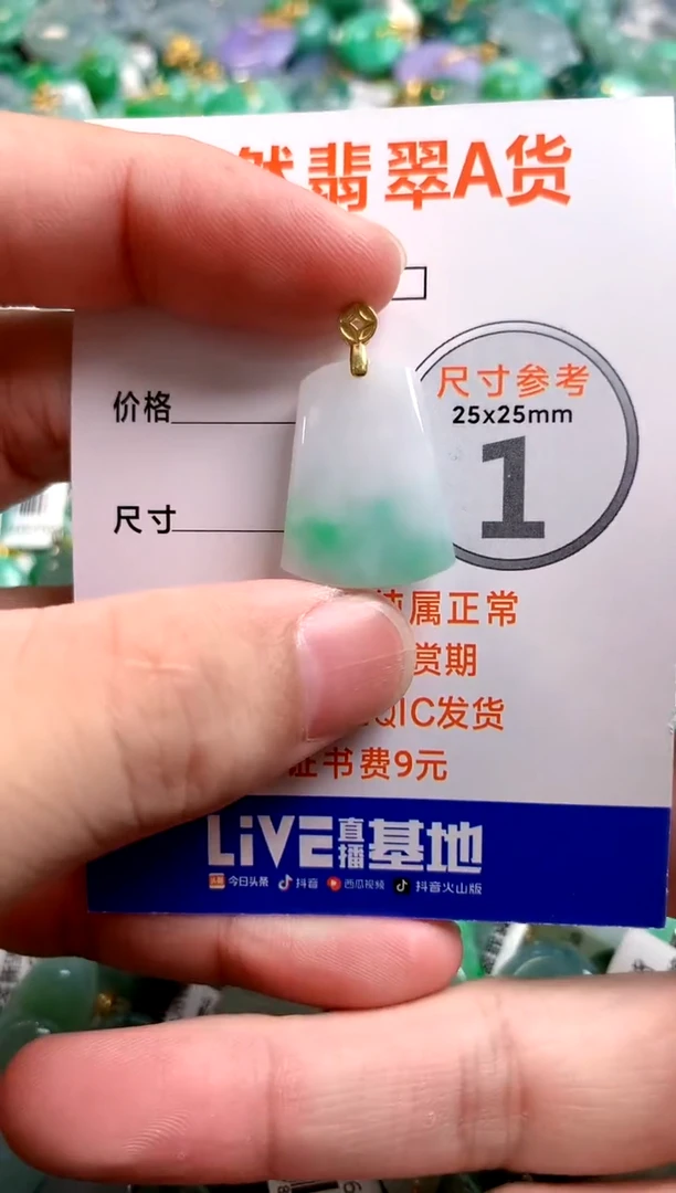 颈饰未镶嵌翡翠26100030