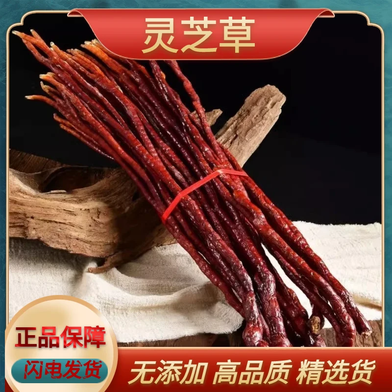 野生灵芝草中药材整朵赤灵芝又名鹿角灵芝草灵芝片泡酒药材滋补