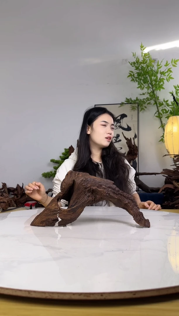 王***妹拍沉木定向链接编号2