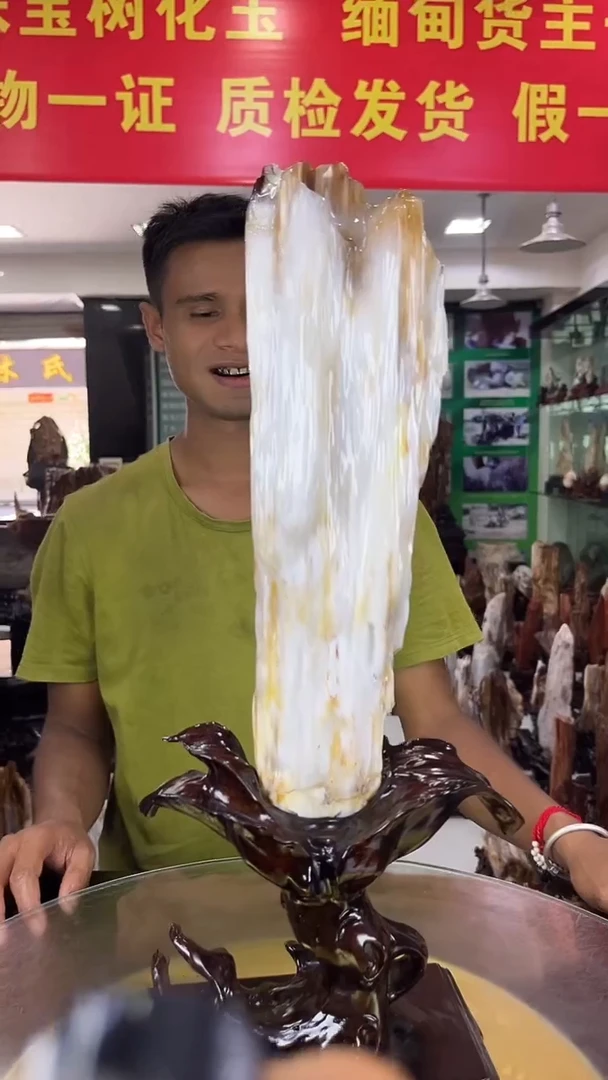 未镶嵌珠宝奇石硅化玉缅甸天然树化玉摆件