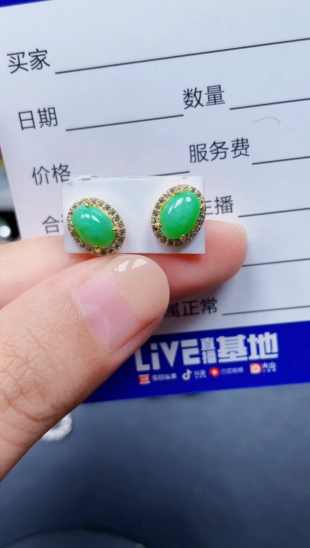 银S925镶嵌翡翠耳饰192