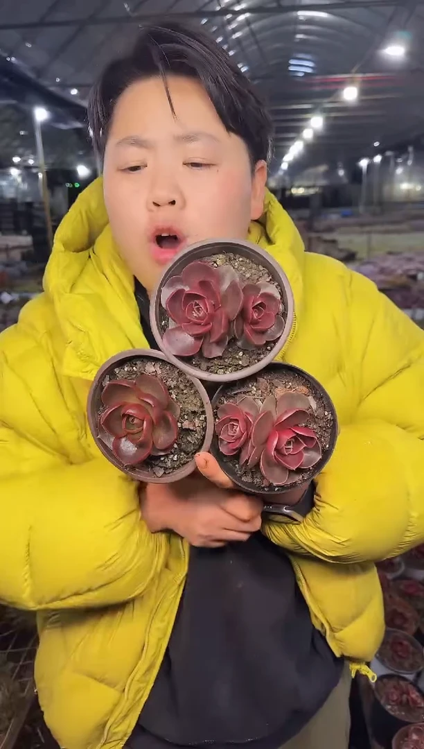 棚里红灯两多一单5.99