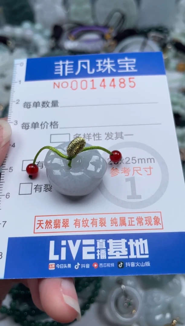 颈饰未镶嵌翡翠14485