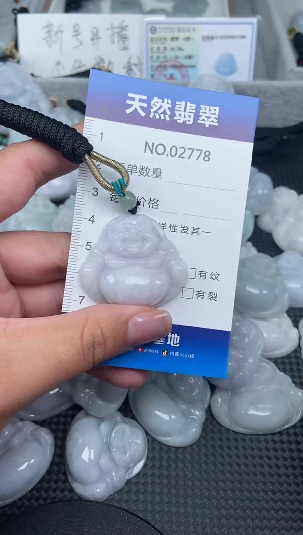 颈饰未镶嵌翡翠纯天然A货翡翠2778