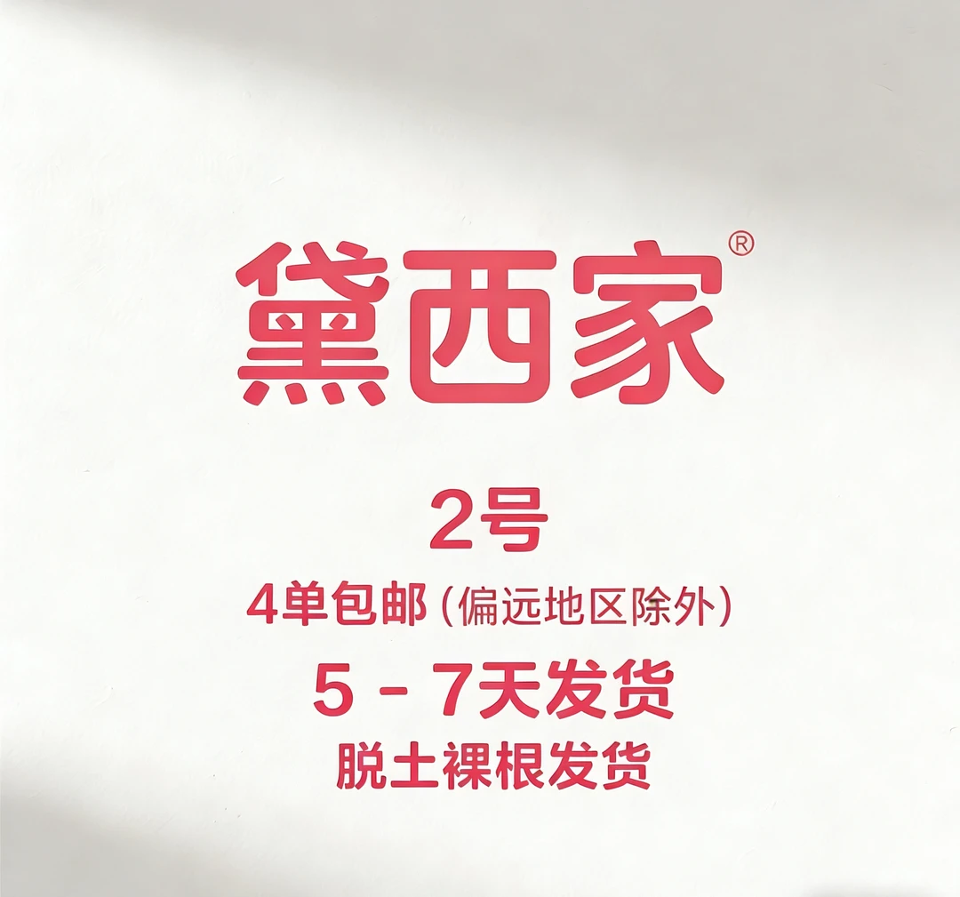 东云系多肉年终福利（201-400）