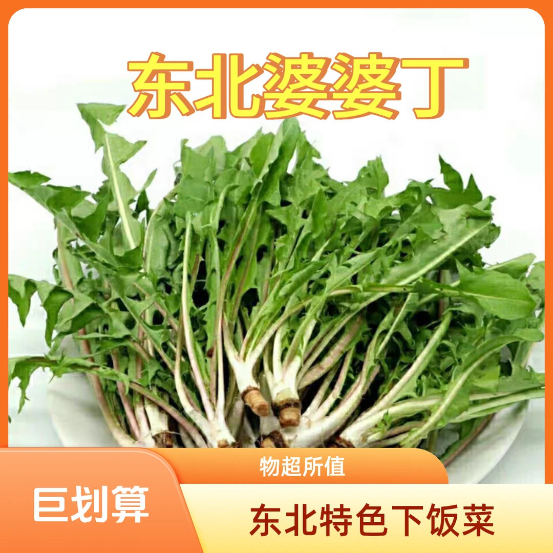 东北农家自种婆婆丁蘸酱菜