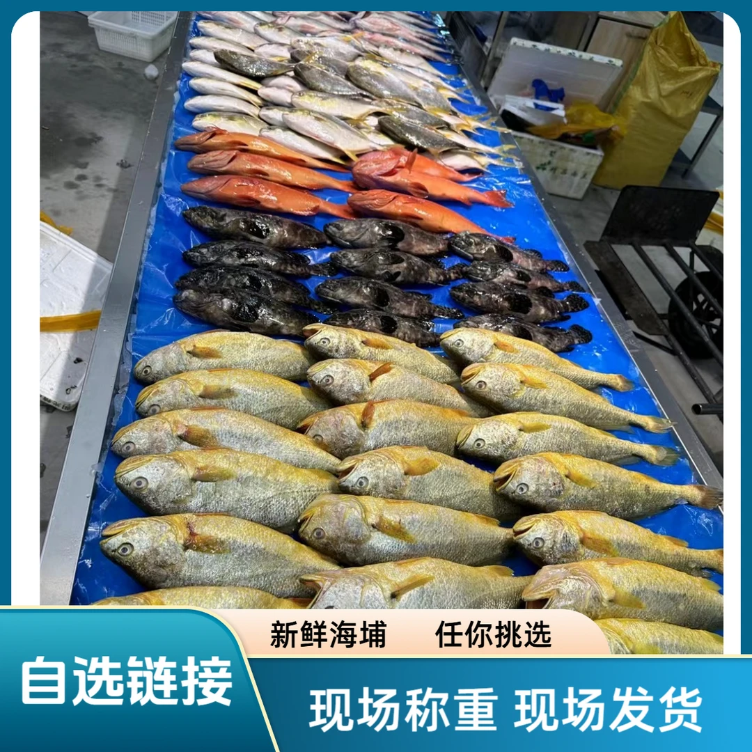 【自选链接】现场称重商品  鱼