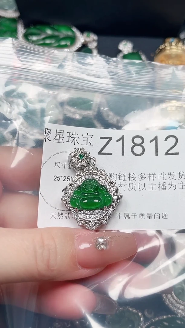 【闪购商品】翡翠颈饰未镶嵌赠皮绳1812