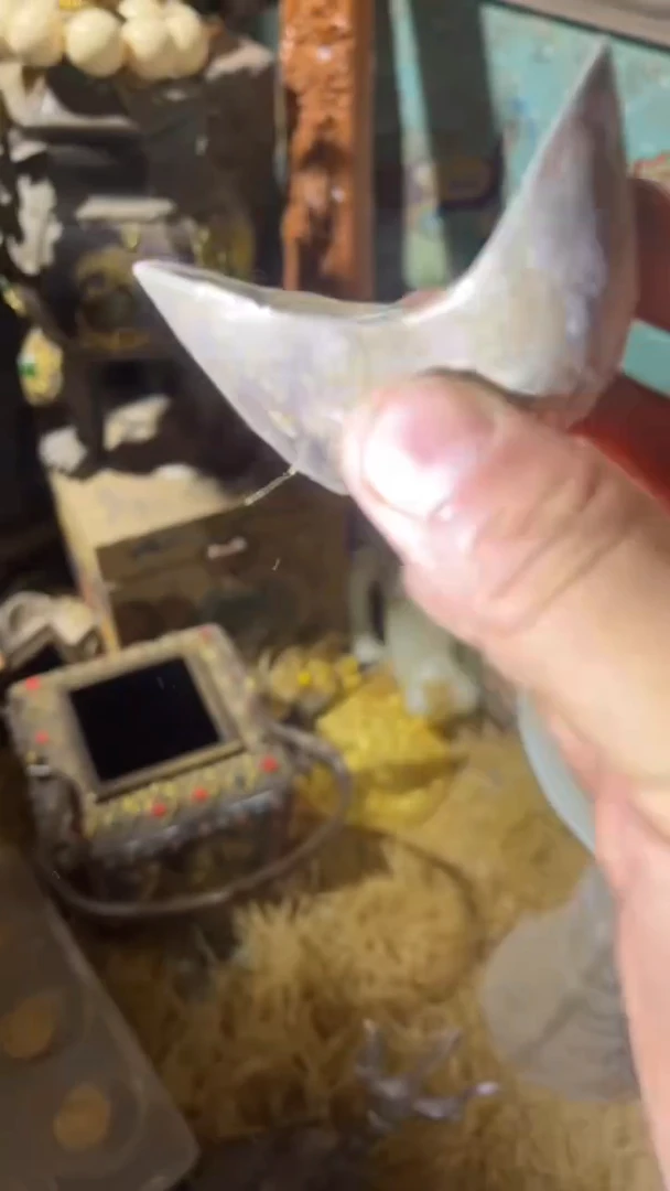 香榧木（1个小复利）