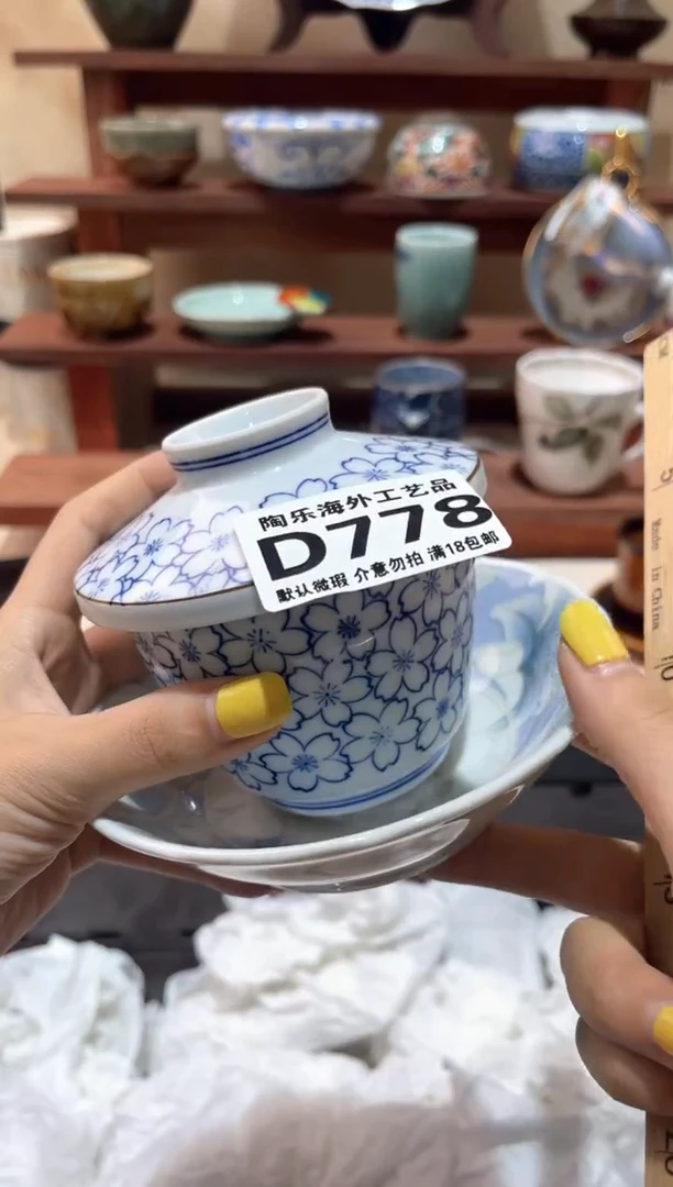 瓷片w*h           D778