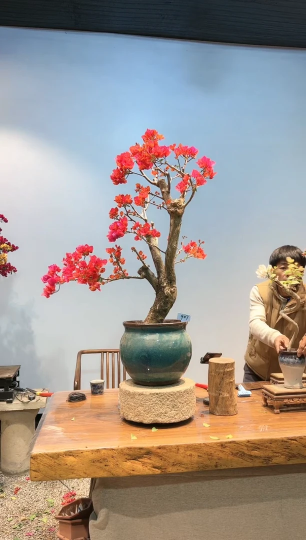 【闪购商品】AA907