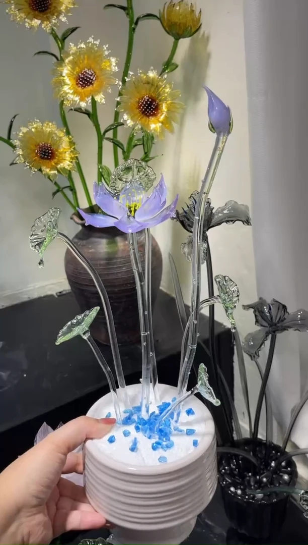 琉璃31荷花 上新福利价