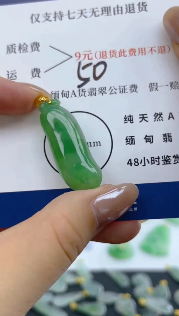 颈饰18K金镶嵌翡翠天然A货翡翠