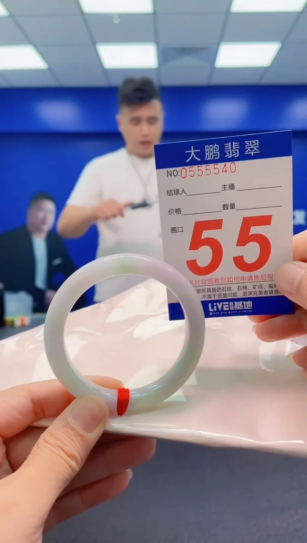 未镶嵌手镯翡翠AAAAAAAAA