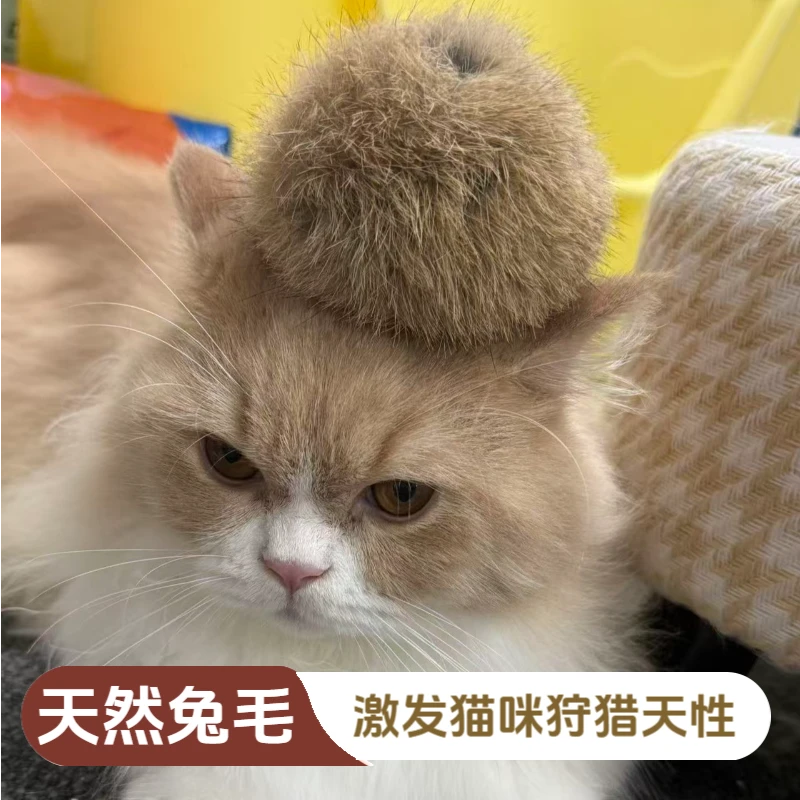 猫狗玩具兔毛球天然真毛逗猫球丰容挂绳互动宠物自嗨毛球猫咪玩具