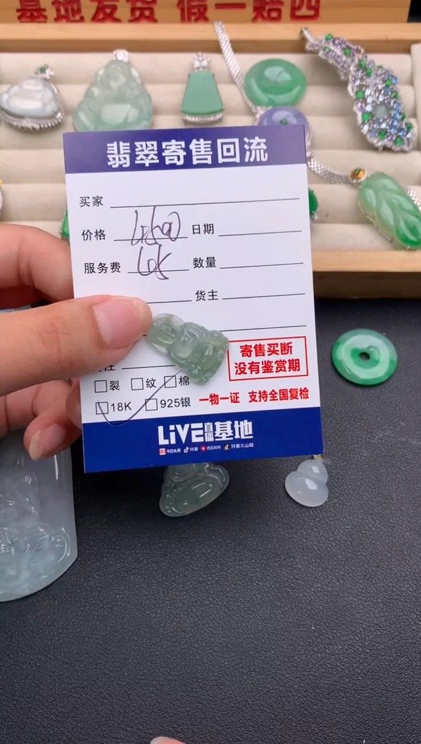 翡翠18K金镶嵌颈饰10138550