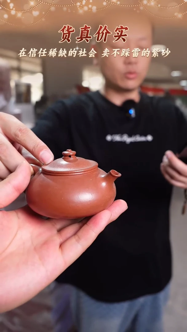 茶壶紫砂紫砂茶壶 红皮龙