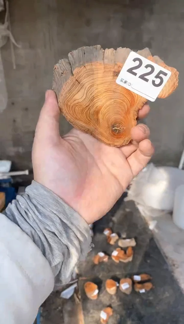 【闪购商品】柏木太行陈化崖柏（津诚林）切片