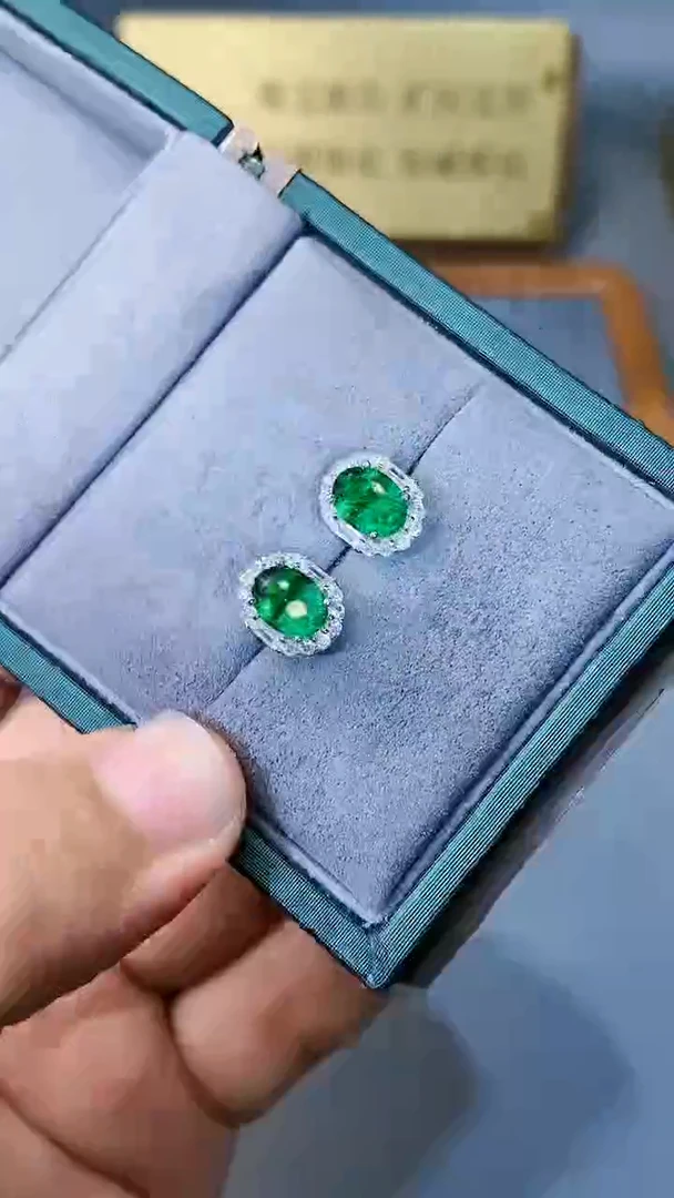 【闪购商品】透辉石耳饰银S925镶嵌154