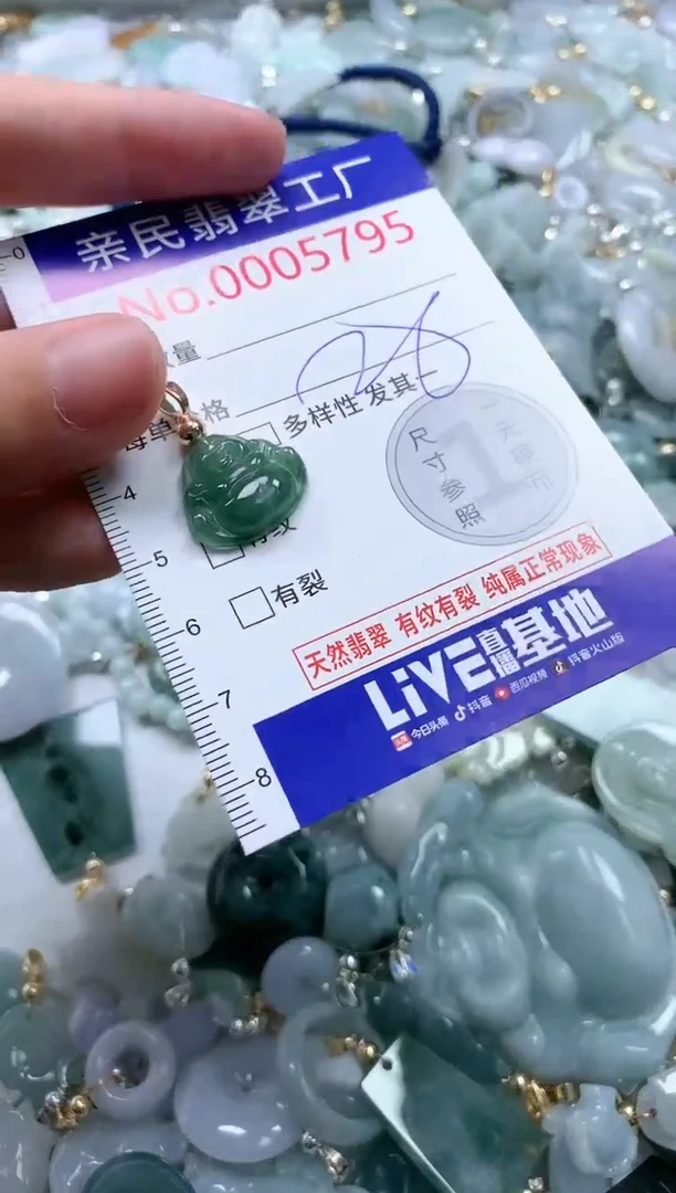 翡翠未镶嵌吊坠(不含链)5795