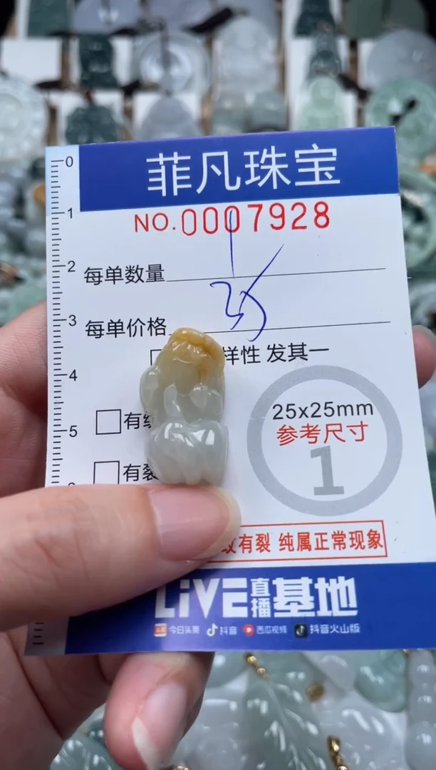 翡翠未镶嵌颈饰00..7928