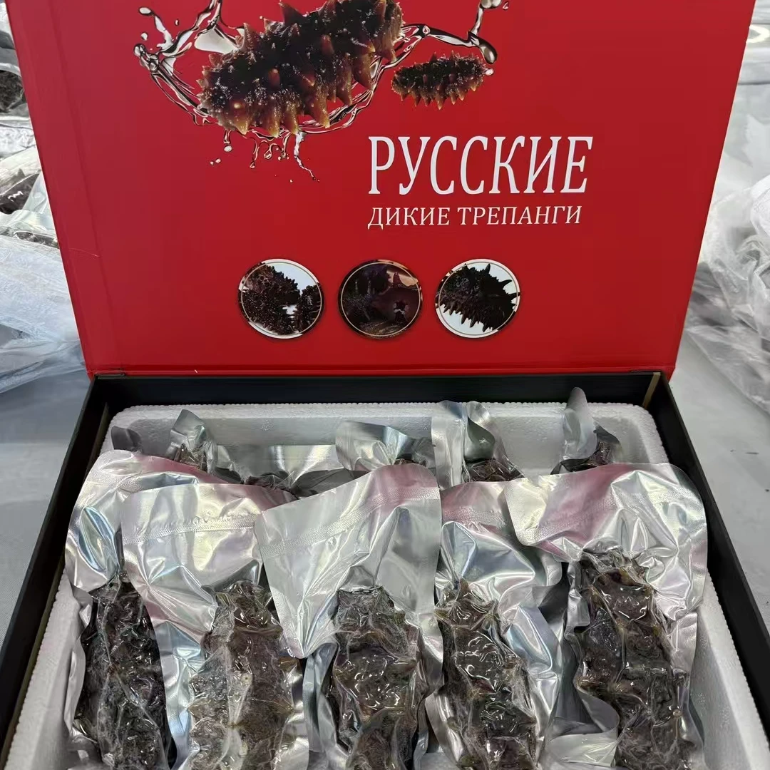 俄罗斯野生即食海参(20只）1.5斤左右