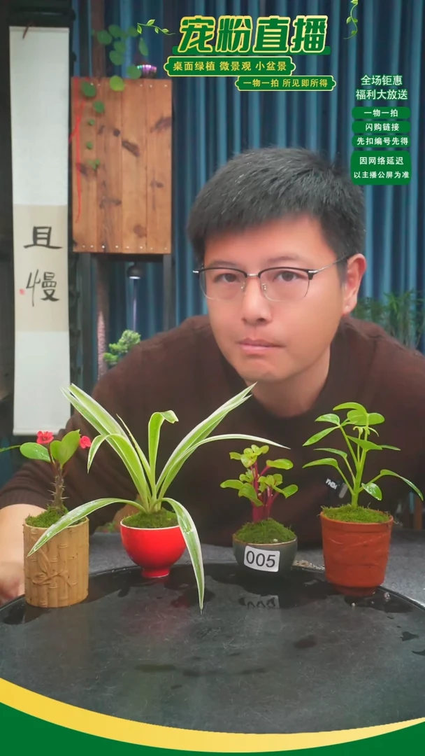 无花朵爱***遍苔藓微景观005号