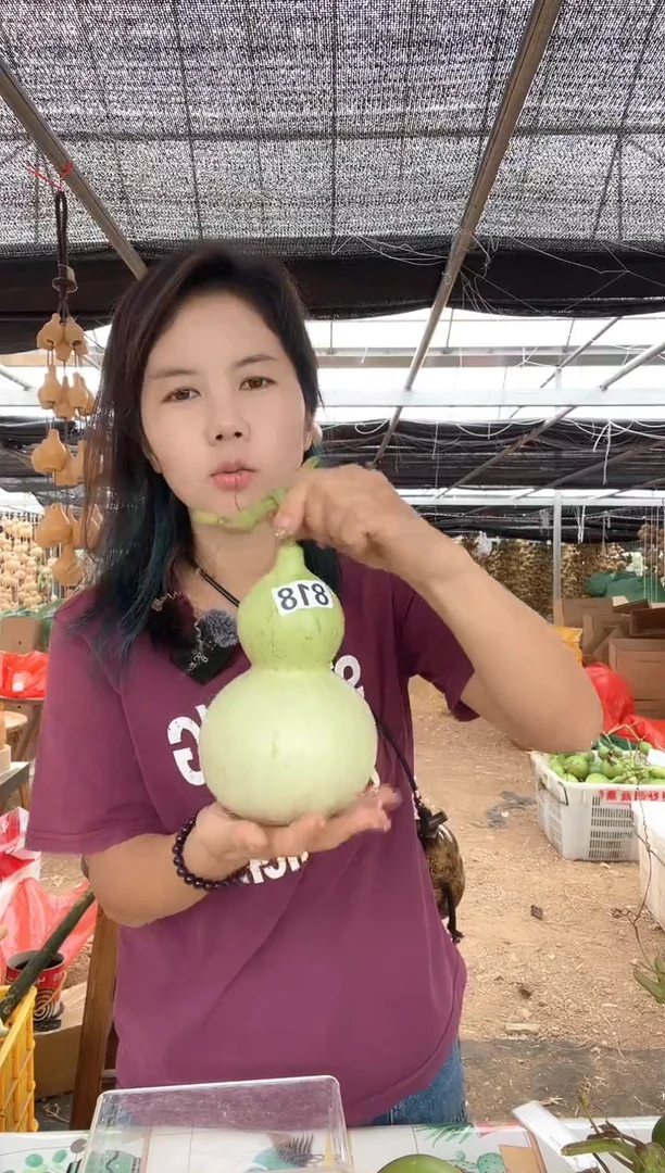 818天然葫芦摆件 一物一拍龙头不保售后