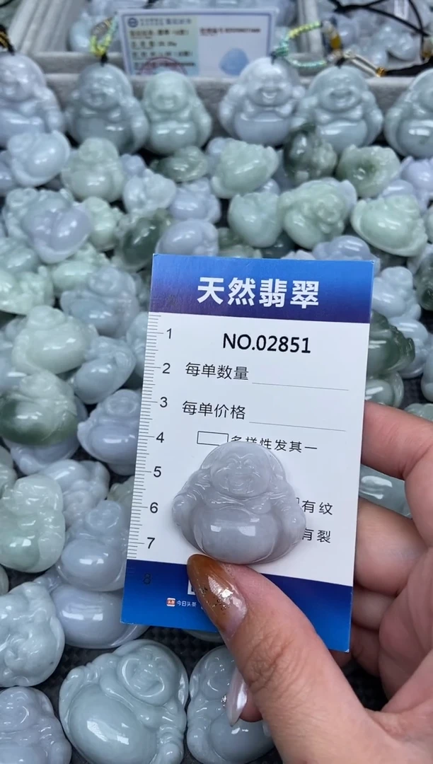 颈饰未镶嵌翡翠纯天然A货翡翠2851