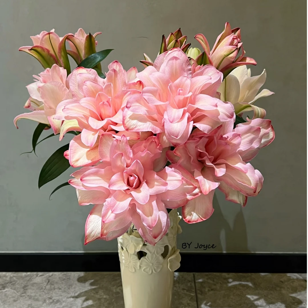 【大聪明卖花】冰美人布朗尼重瓣百合任意两单升级顺丰冷链或德邦