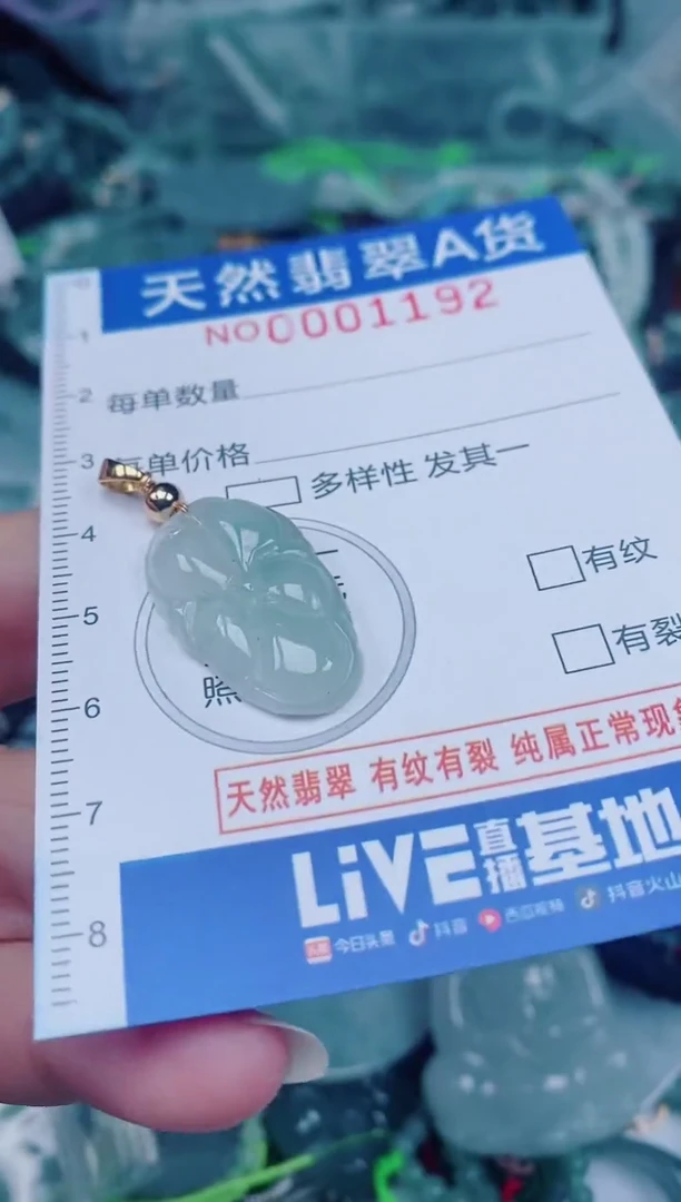 颈饰未镶嵌翡翠00001192