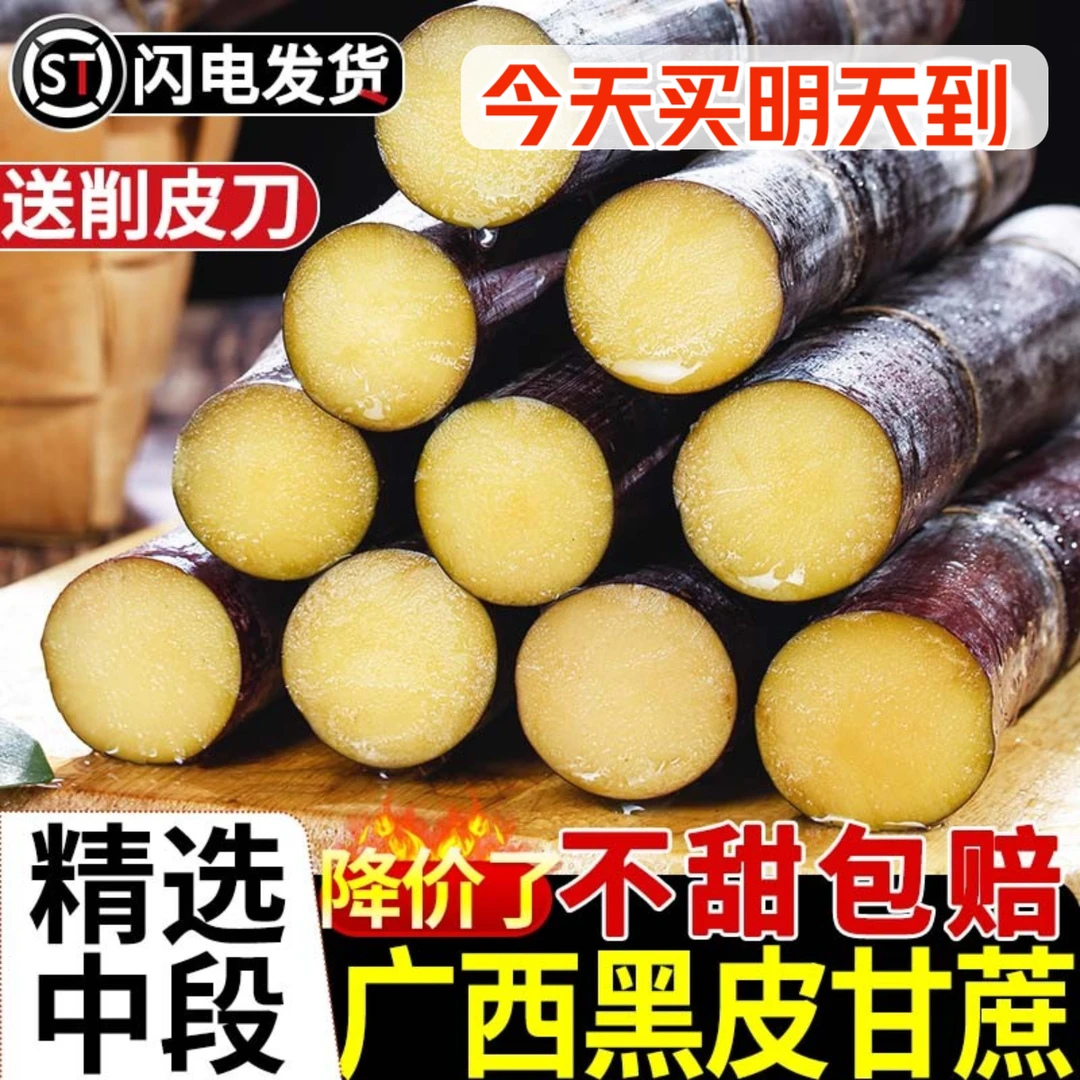 【次日达】广西黑皮甘蔗5斤-9斤精选中段新鲜孕妇水果应当季脆...