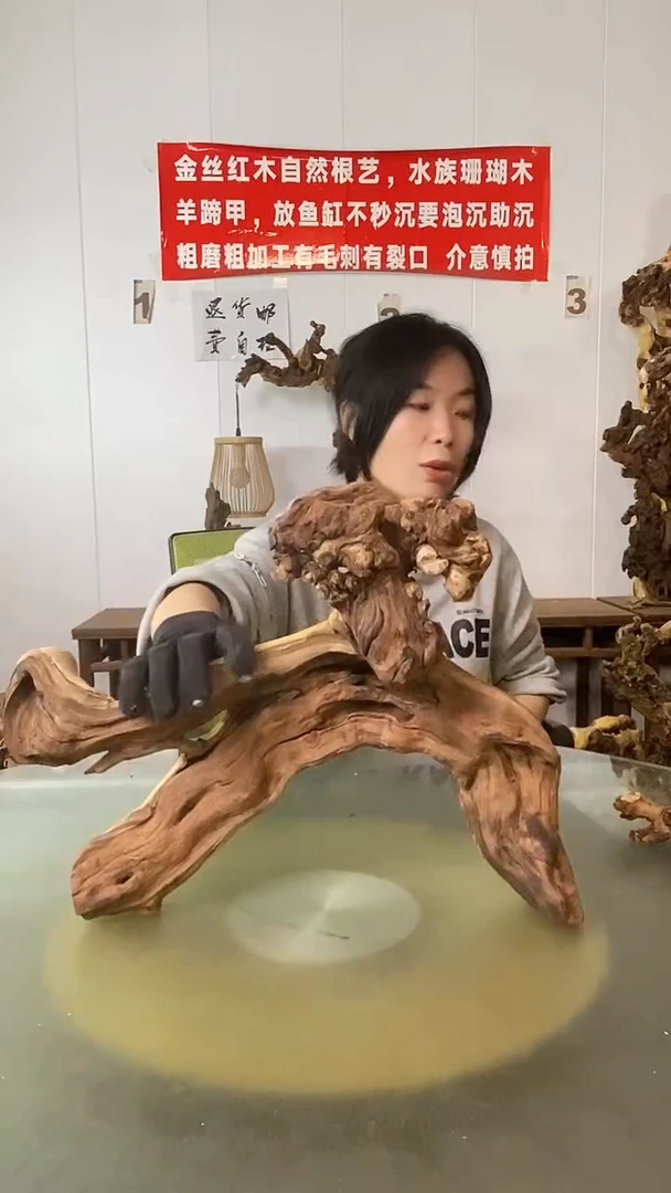 香榧木天****具金丝红木 羊蹄甲