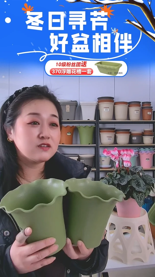 荷叶边5001绿色4套带托盘