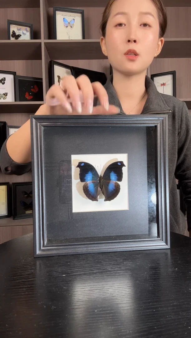 实木竖款爱情鸟蛱蝶（蝴蝶装饰画8寸框）