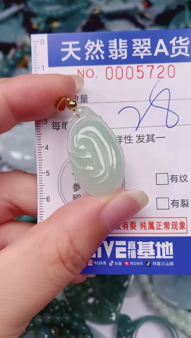颈饰未镶嵌翡翠00005720