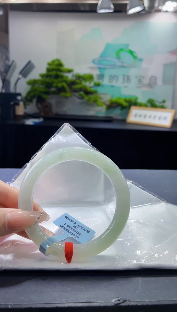 未镶嵌手镯翡翠12