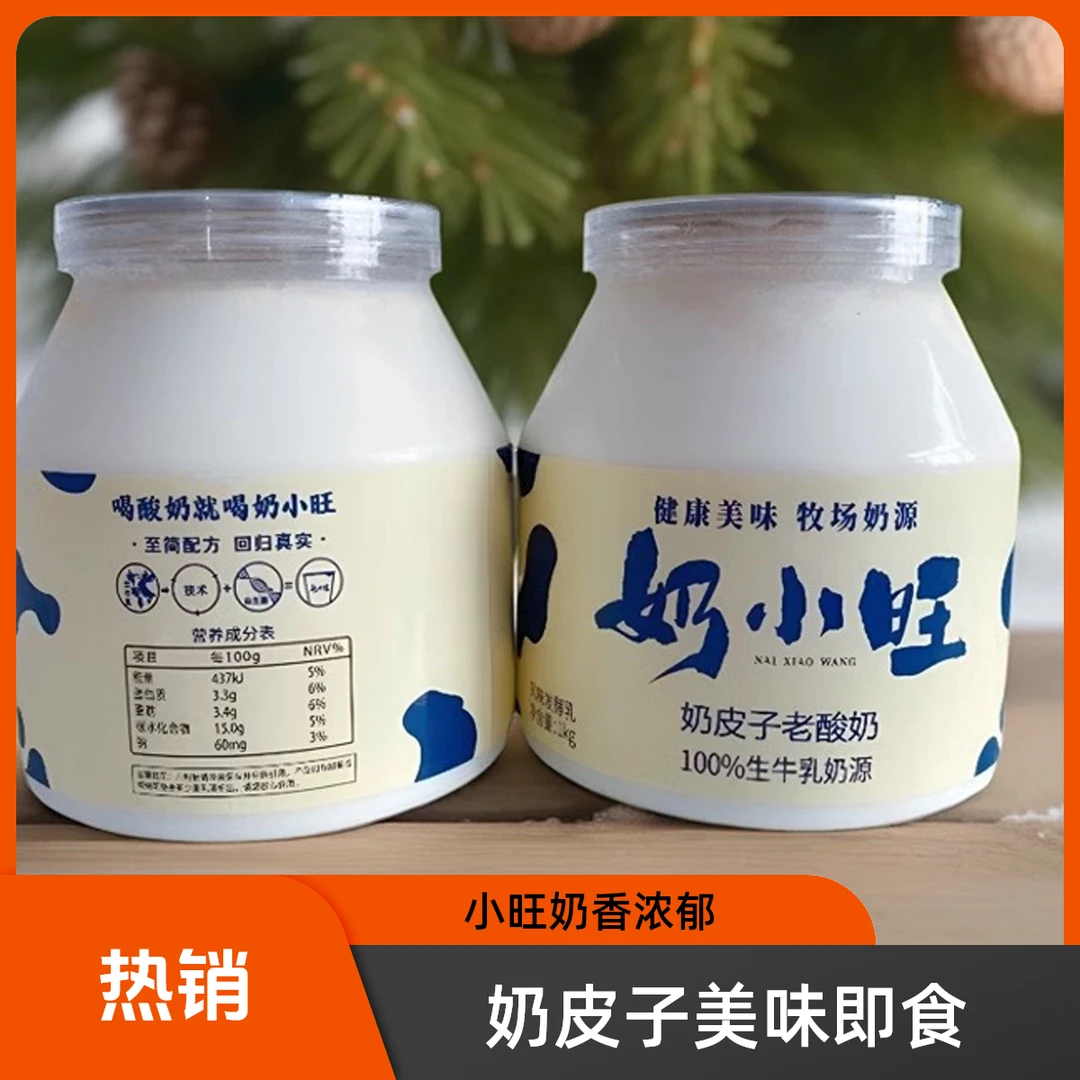 奶皮子酸奶厂家直发