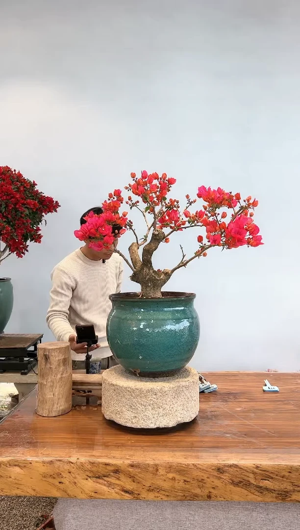 【闪购商品】AA911