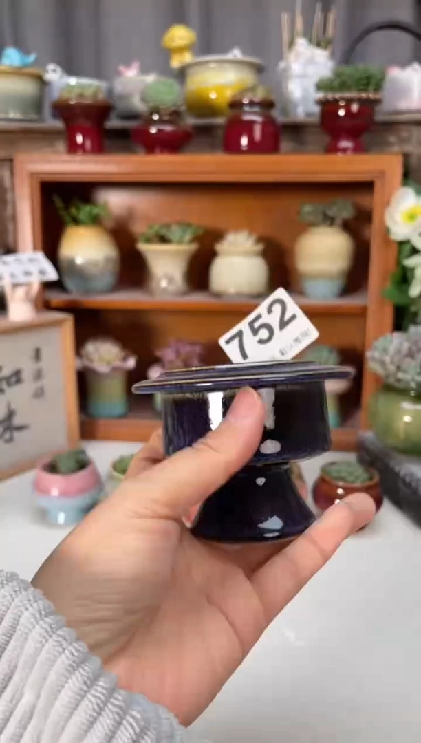 瓷片752小芳直播编号